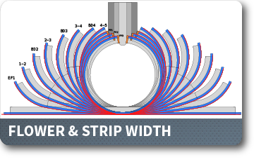 The Flower & Strip Width